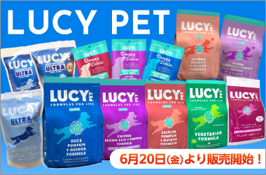 2025N6LUCYPET