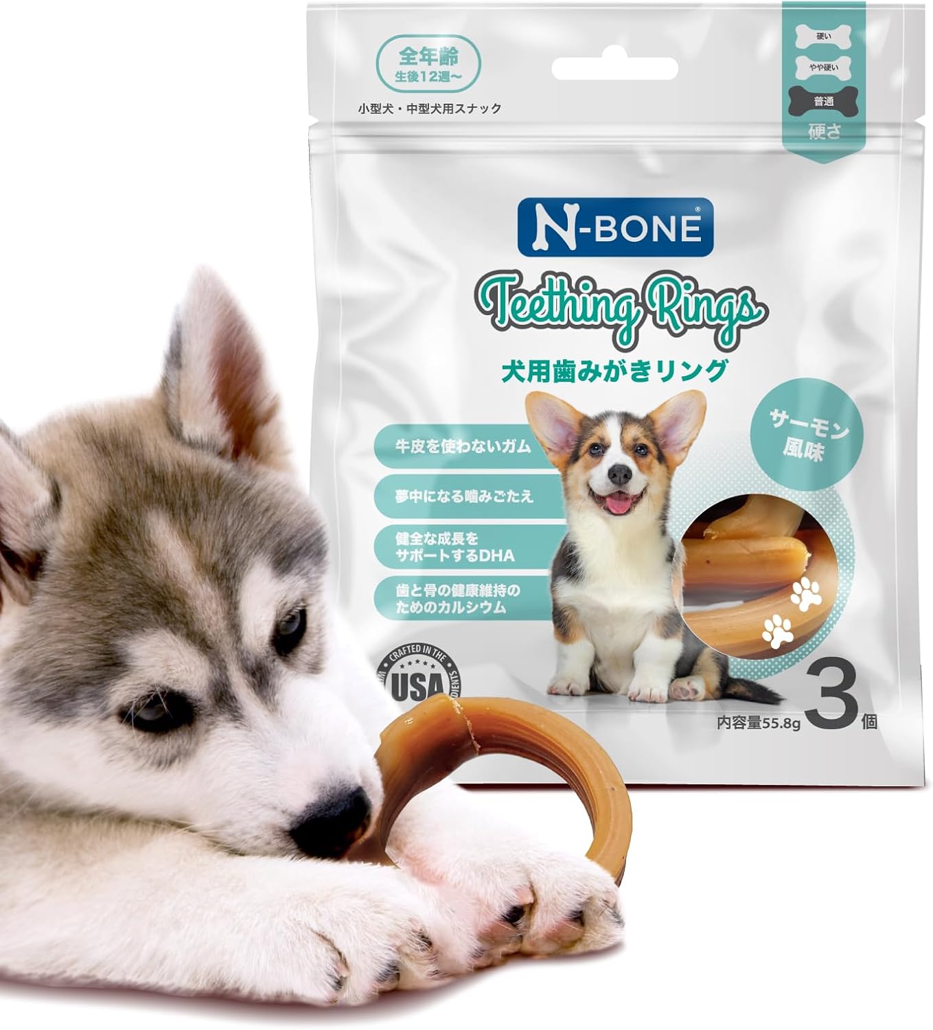 N-BONE p݂O(T[) 3