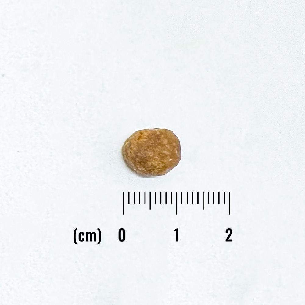 LID 成猫用 サーモン&グリーンピース レシピの詳細