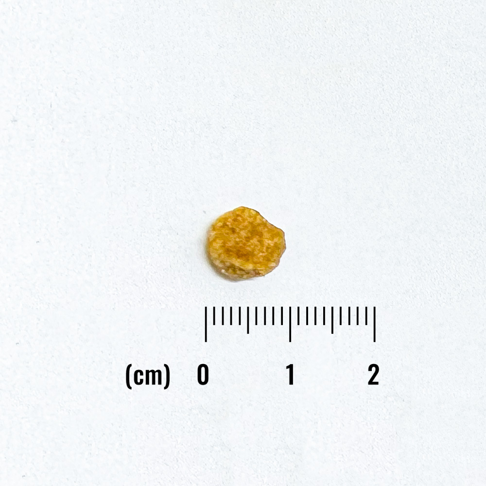 LID 成犬用ベジタリアンレシピ 小粒の詳細