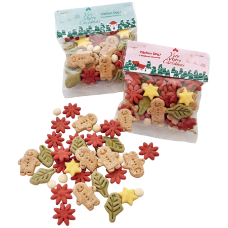 2025NNX}XrXPbg Christmas memory