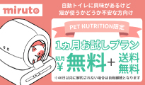 miruto1����������